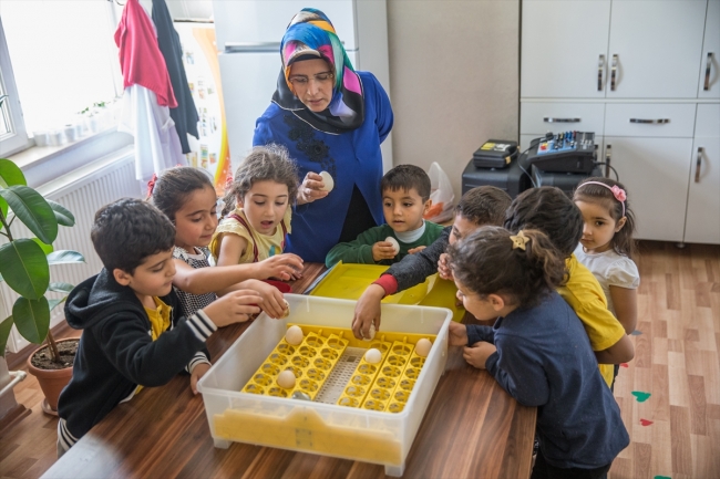 Öğrenciler hayvan sevgisini anaokulunda öğreniyor